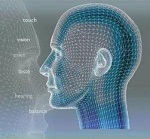 BBC.Чувства человека смотреть онлайн
